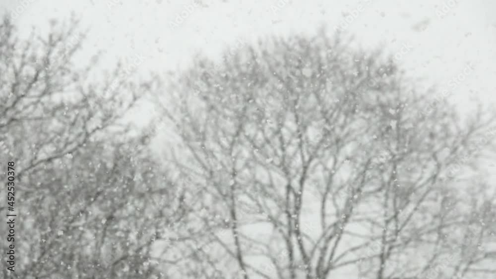 Snow flakes falling in slow motion. Winter nature background. Snow flakes falling in slow motion. Winter nature background.