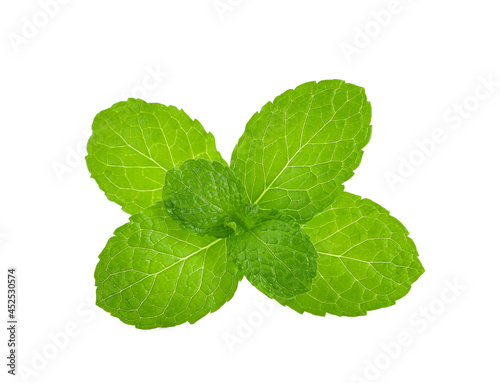 water wet mint leaves isolated on white background.