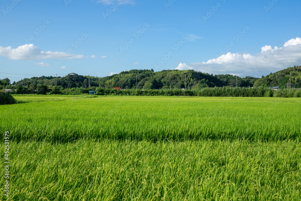 田園風景