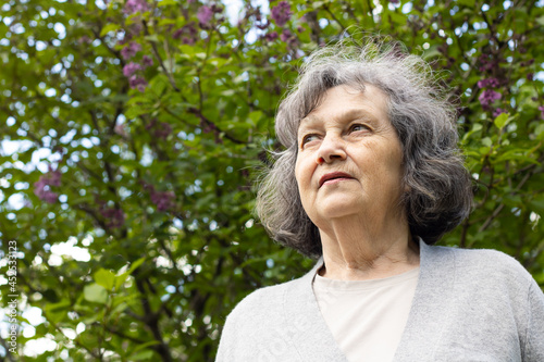 Sad elderly woman looks into the distance against the background of a blossoming crown of a tree. Lonely gray-haired woman of retirement age walks on a spring day in the park