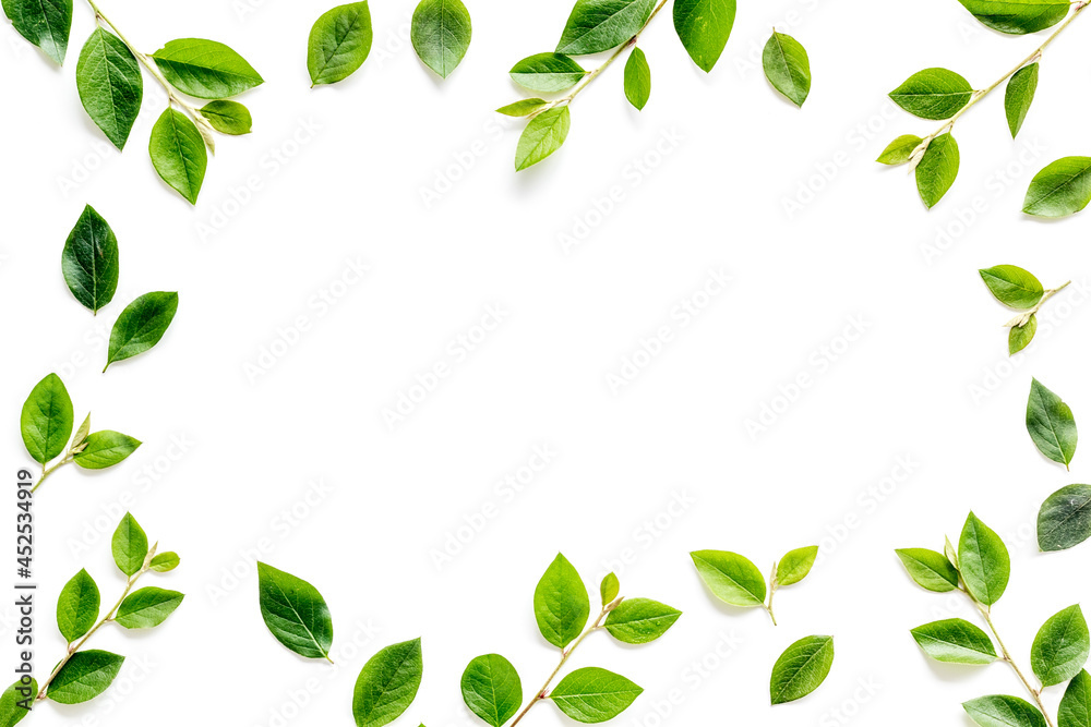 Layout of green leaf and branches isolated on white. Overhead view
