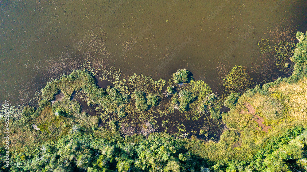 Aerial view of a lake in the forest from drone