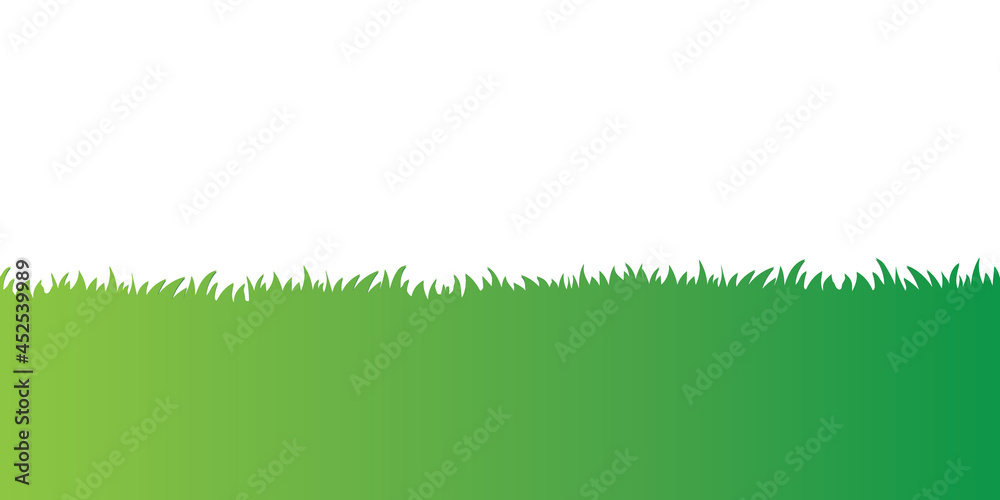 green grass on white