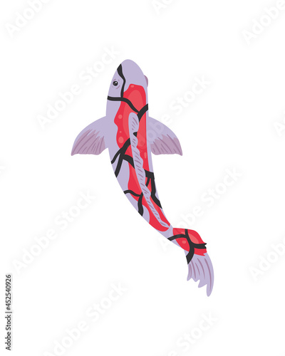 koi fish of purple and red