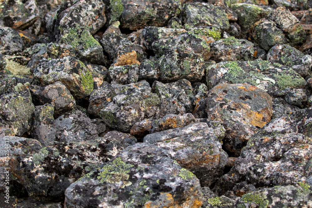 Natural stones covered with mosses and lichen at Kiilopää hill, Northern Finland, Europe
