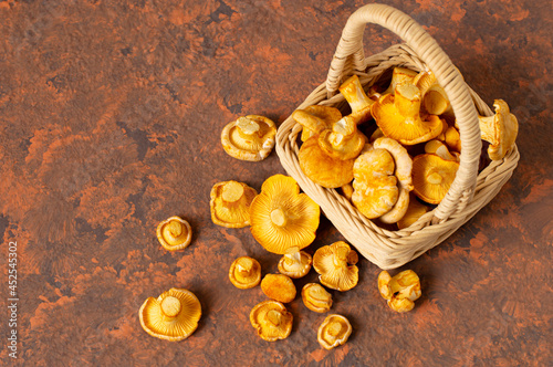 Wild chanterelle mushrooms fall out of basket photo