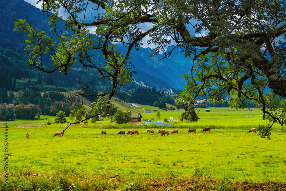 Fototapeta premium Blick auf Oberstdorf