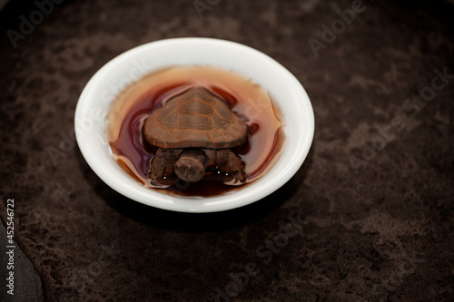 image of tea cup turtle 