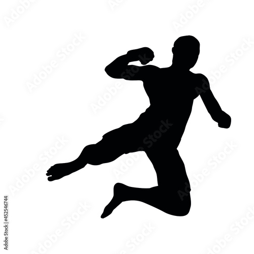 Silhouette Of Martial Arts Fighter