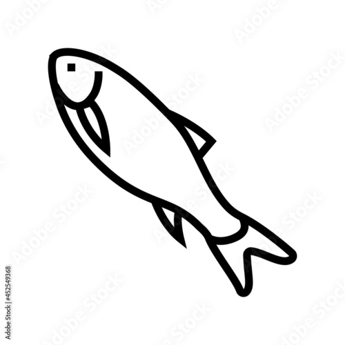 rohu fish line icon vector. rohu fish sign. isolated contour symbol black illustration