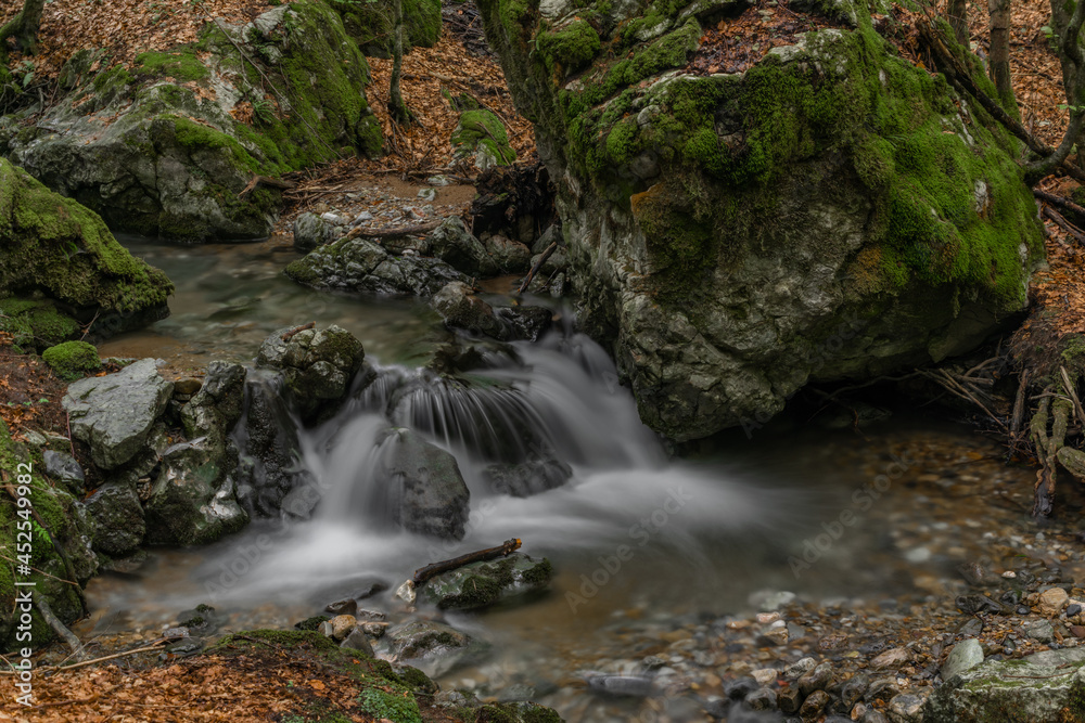 Hrdzavy creek in summer morning in Hrdzava valley in Slovakia