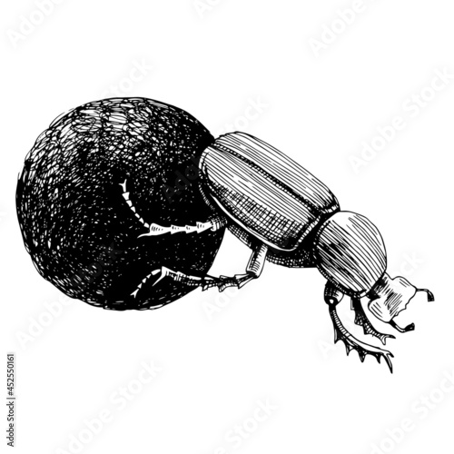 Monochrome African Dung Beetle rolling ball