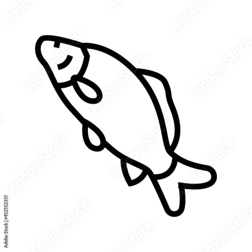 common carp line icon vector. common carp sign. isolated contour symbol black illustration