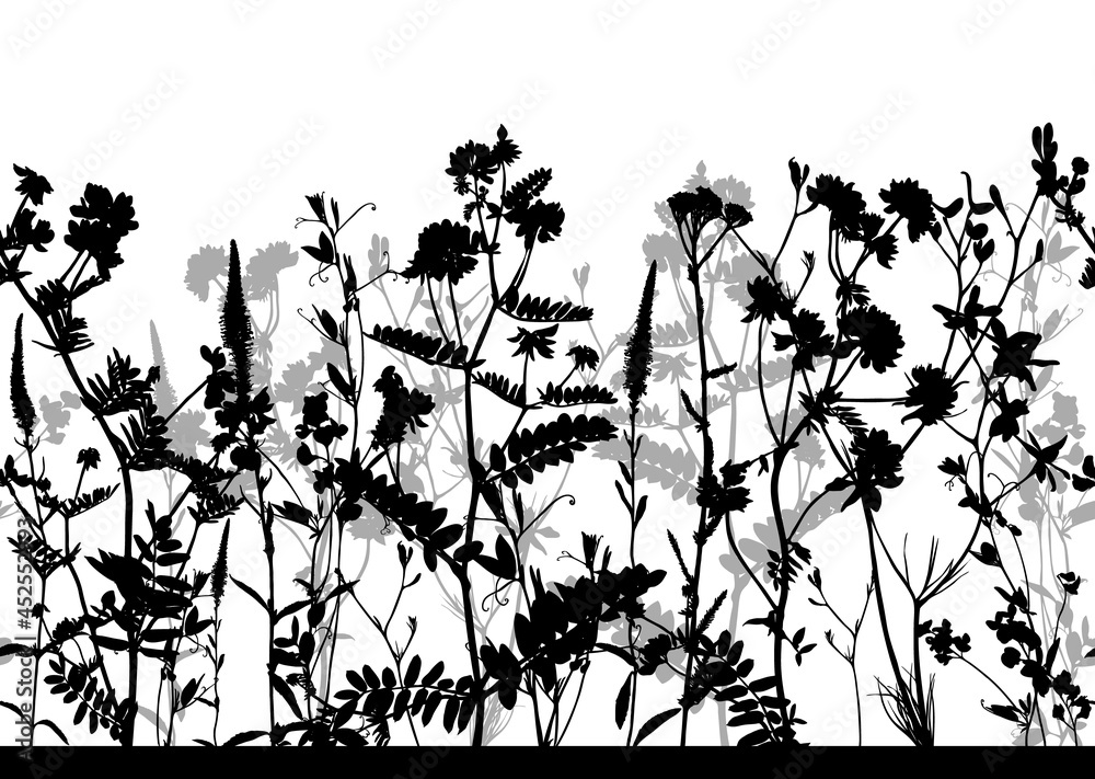 Naklejka premium Seamless horizontal pattern with black and white wild flowers isolated on transparent background.