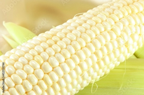 夏野菜の定番！産地直送の皮むき朝採れとうもろこし1本