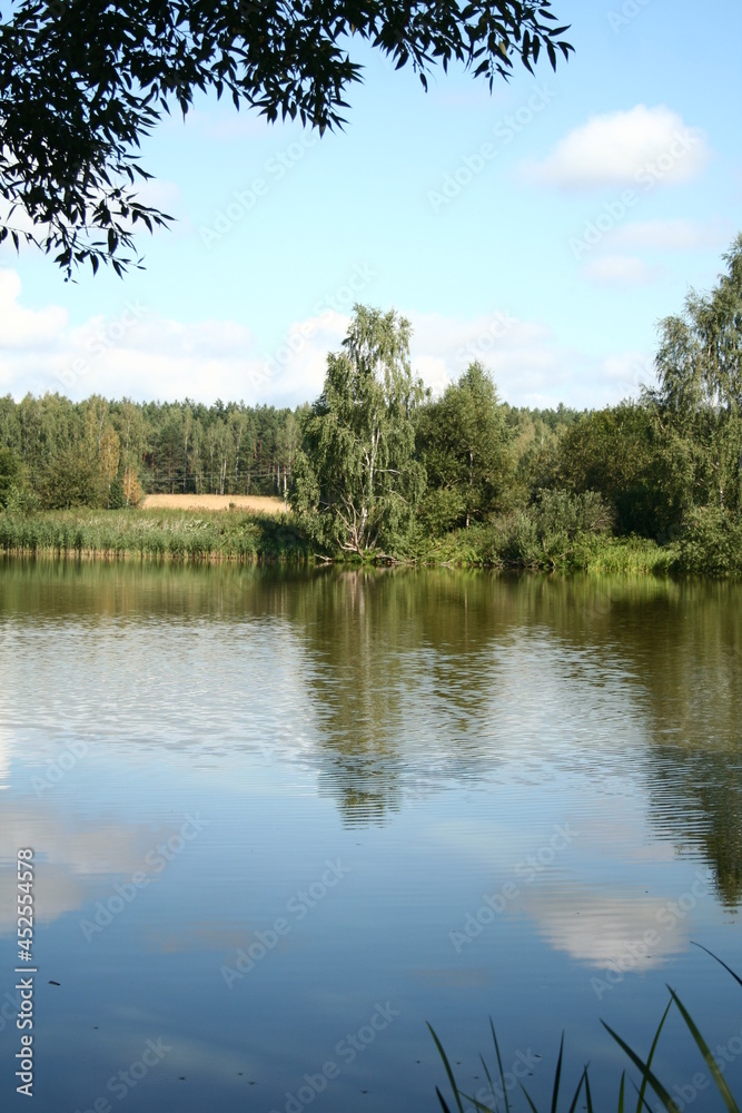 White clouds and trees are reflected in the lake