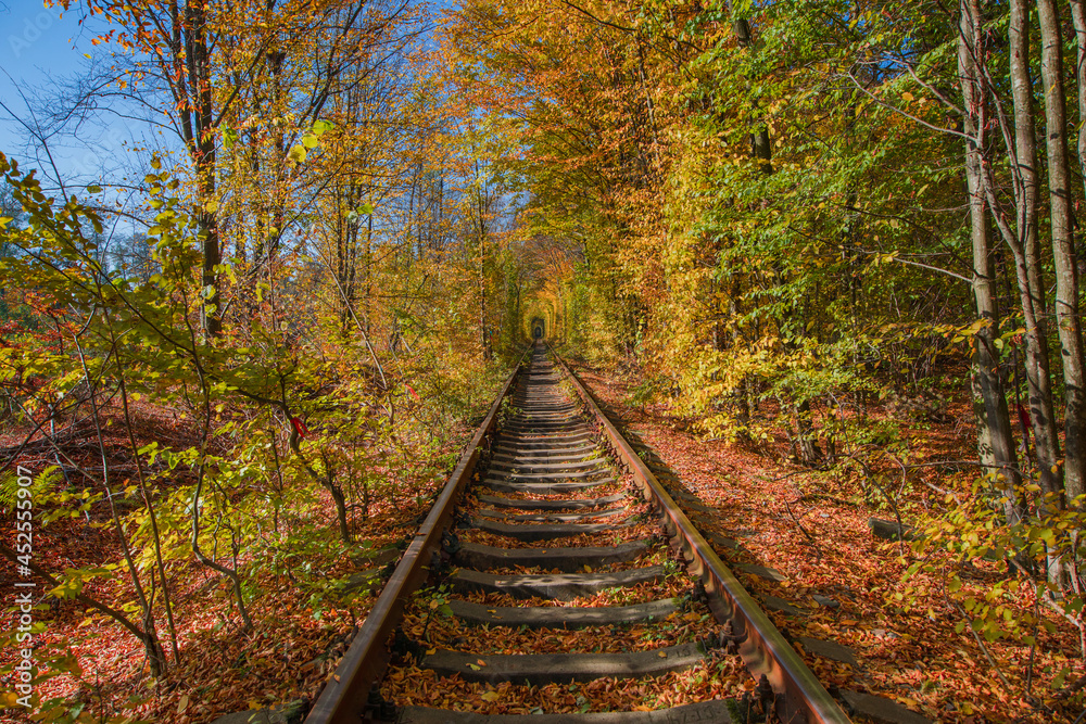 love tunnel in autumn. a railway in the spring forest love tunnel in autumn. a railway in the spring forest