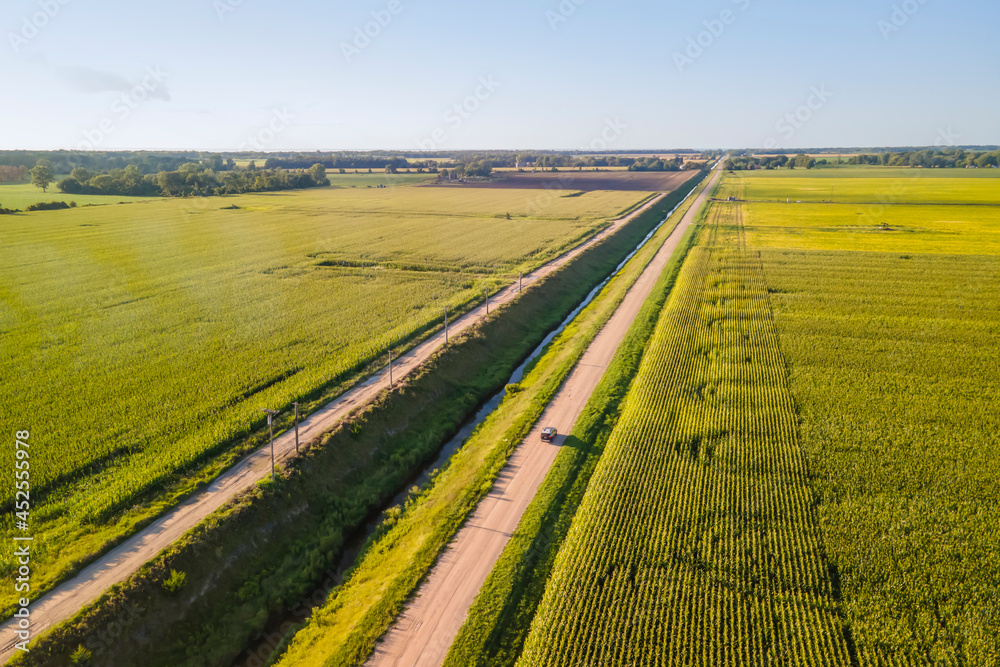 Aerial view of dirt road between Soy bean fields in rural Michigan