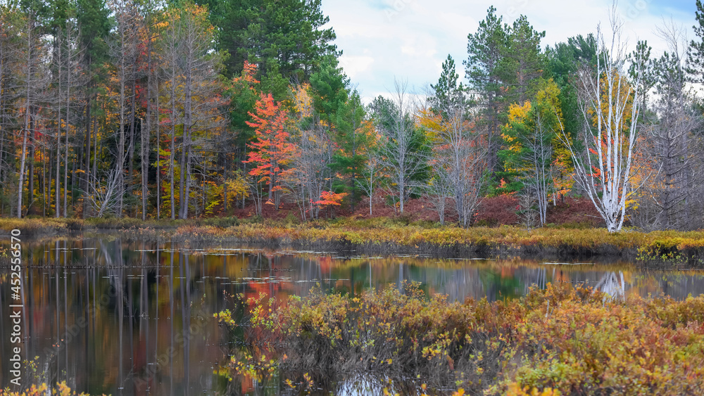 Colorful autumn trees and its reflection in small lake in rural Michigan Colorful autumn trees and its reflection in small lake in rural Michigan
