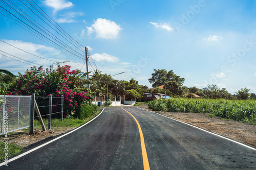 Curved asphalt road through sugarcane plantation in country road © Mumemories
