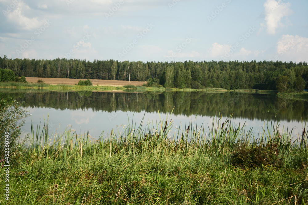 Deserted forest lake. The end of the summer Deserted forest lake. The end of the summer