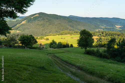 Fototapeta Naklejka Na Ścianę i Meble -  Beskidzki szlak. Beskid Sądecki, Piwniczna Zdrój 