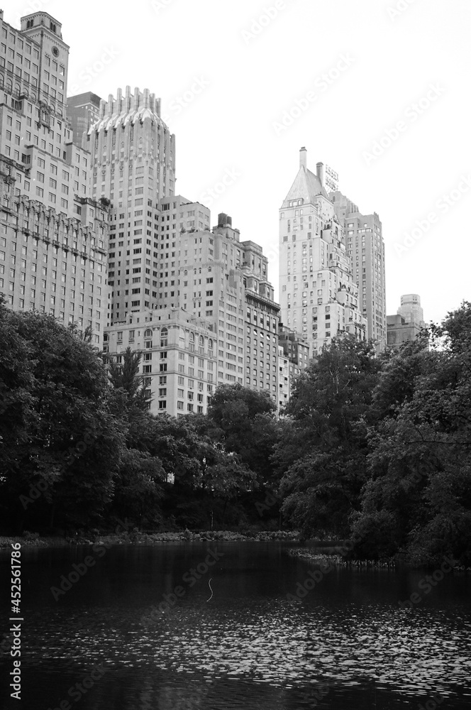 Central Park meets skyscrapers, New York City