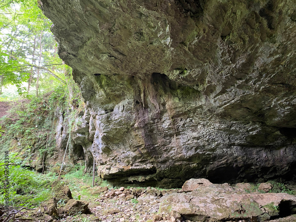 Fototapeta premium Cave Zagorska pec or Zagorska cave in Desmerice - Ogulin, Croatia (Špilja Zagorska peć ili Zagorska pećina u Desmericama - Ogulin, Hrvatska)