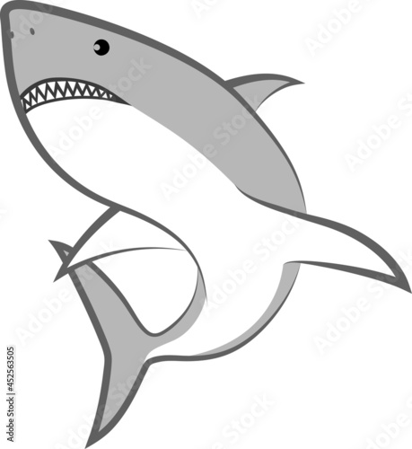 isolated shark