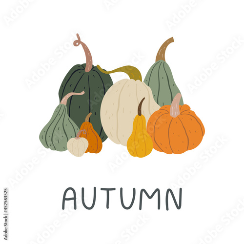 Trendy modern illustration of a collection of pumpkins in natural colors. Doodle drawings. With inscription - autumn. For cards, prints, decorations, etc. 