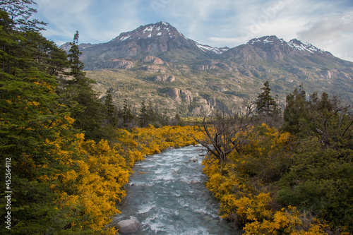 patagonia