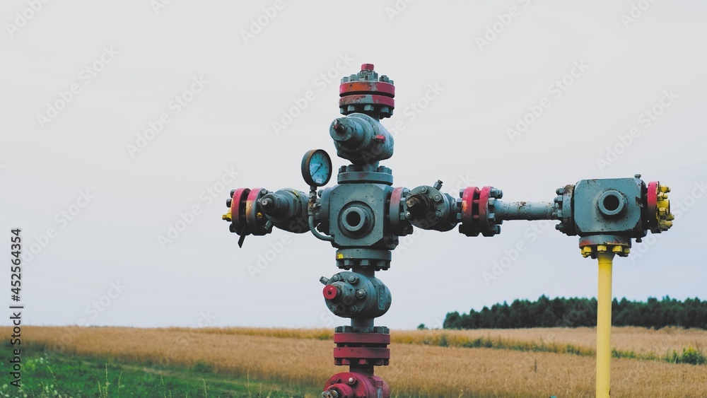 Gas Delivery System Control Station with Pipe Line Junction and Rusty