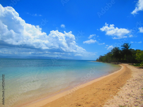 Fototapeta Naklejka Na Ścianę i Meble -  Des palmiers sur la plage de sable blanc devant la paradisiaque mer turquoise