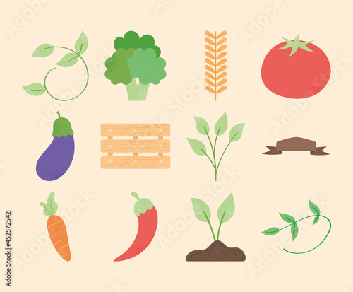 fresh vegetables and plants