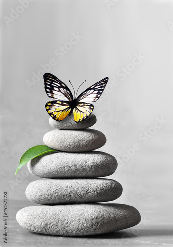 Photography Spa stones with leaf and butterfly on light background.