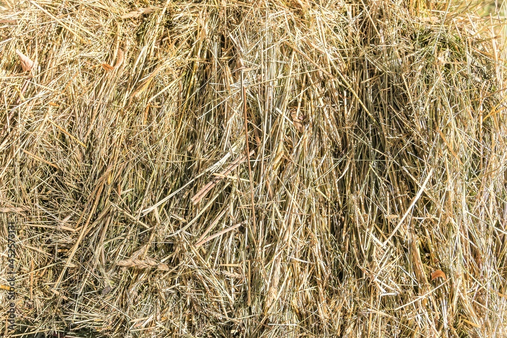Fragment of a block of pressed hay as a natural background. Fragment of a block of pressed hay as a natural background.