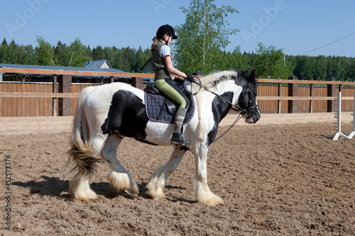 Equestrian sports - a young girl riding a horse, horses walk on the parade ground.