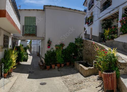 a small square in Berchules with a stone fountain, a tinao, white houses, a sloping street and abundant flower pots and plants
