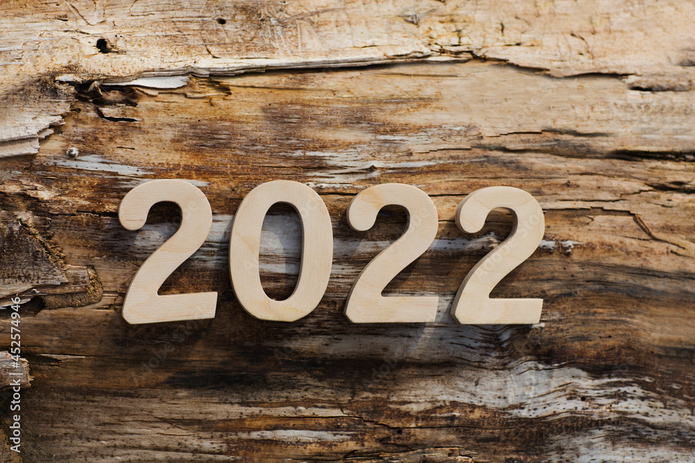 wooden numbers 2022 against the background of the old tree. ecology. Happy New Year concept wooden numbers 2022 against the background of the old tree. ecology. Happy New Year concept