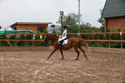 A girl in white equestrian clothes and a helmet, riding a brown horse. he performs at a competition, with a very serious face.