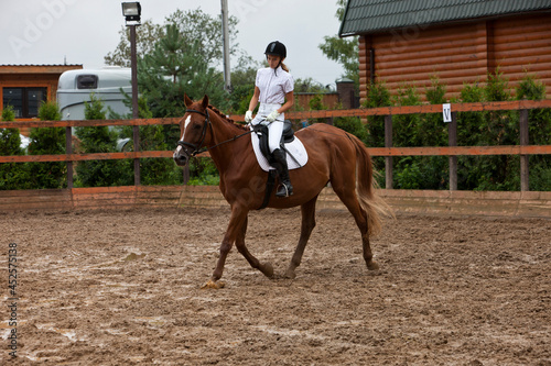 A girl in white equestrian clothes and a helmet, riding a brown horse. he performs at an equestrian competition.