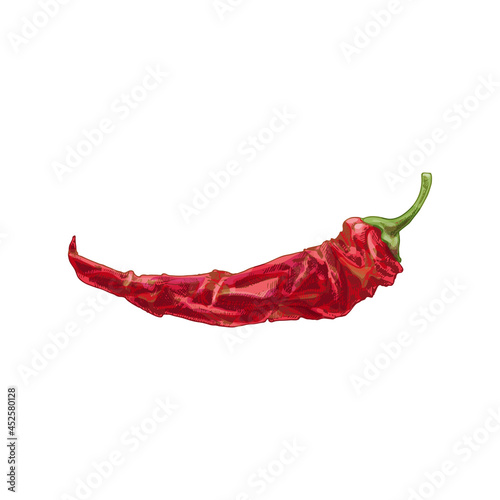 Whole dry pepper chilli. Vintage hatching illustration. photo