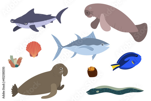 Photography Set of sea animals - hummerhead shark tuna sea elephant surgeonfish manatees