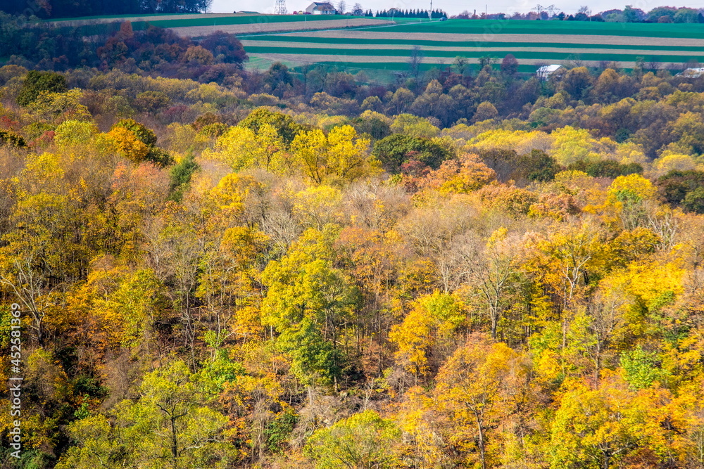 Autumn Foliage Colors in Trees and Farmlands by a River on a Sunny Partly Cloudy Day