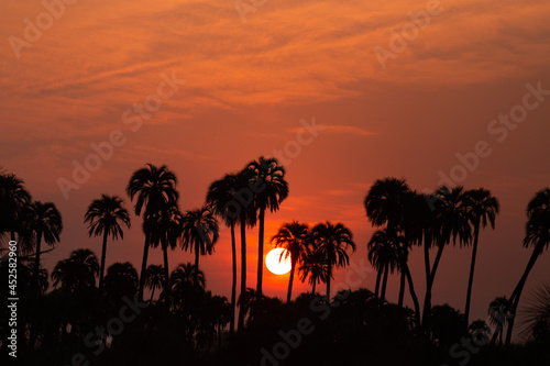 sunset at the beach