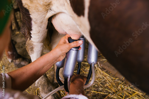 Milking machine close-up. Milk production on a home farm.