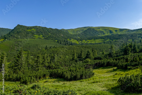 beautiful panorama of the mountain range in summer. Lots of green vegetation