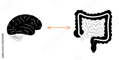 Gut brain connection