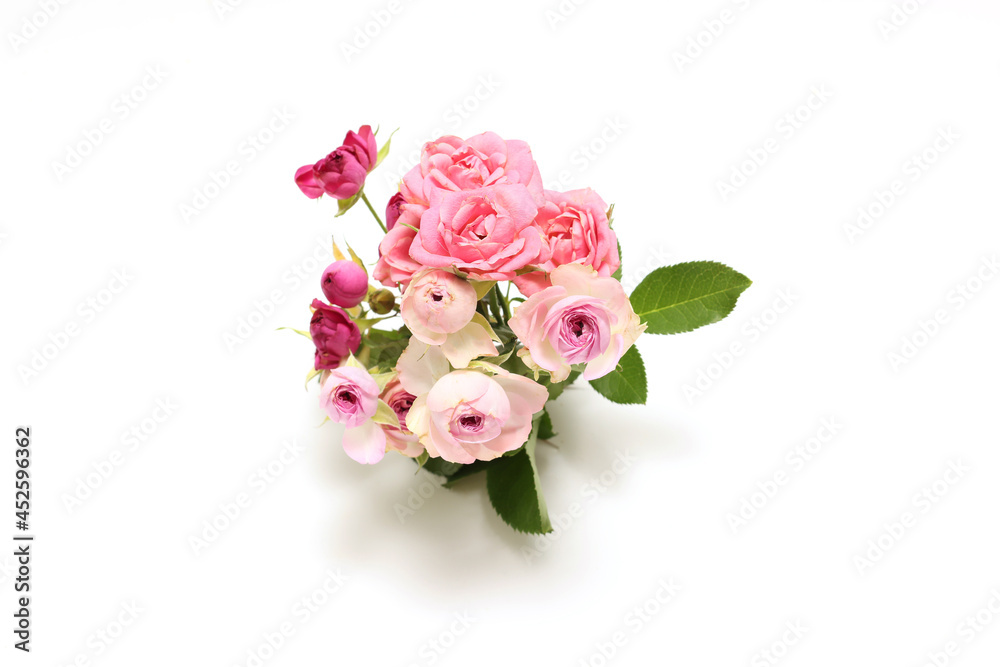 Fototapeta premium 白背景の薔薇の花束 