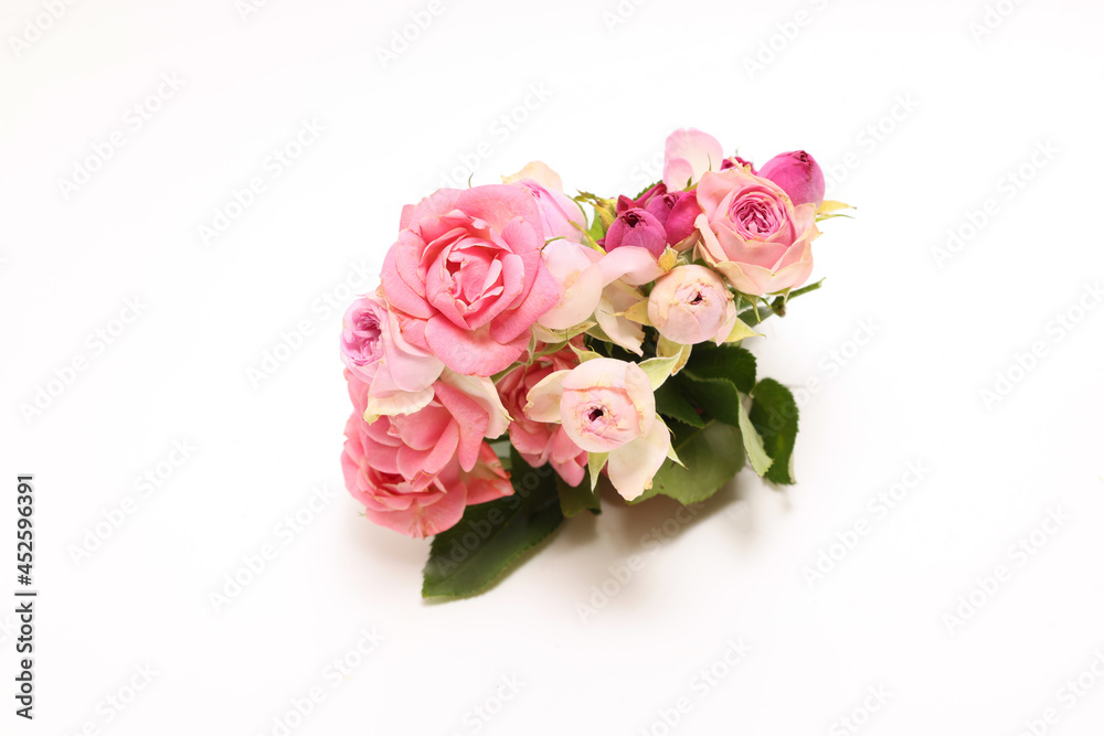 白背景の薔薇の花束 白背景の薔薇の花束